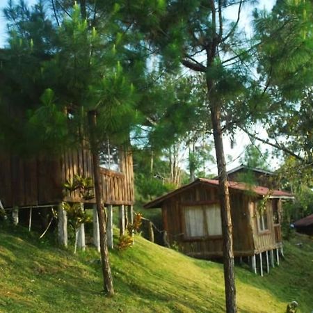 Cabanas Don Camilo Albergue De Montana Cabecera de Canas Ngoại thất bức ảnh