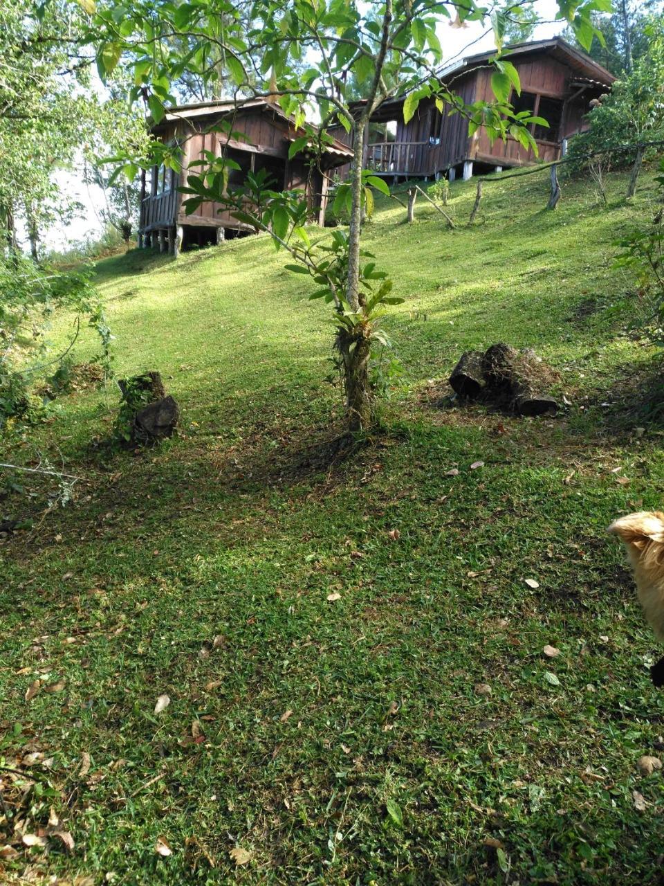 Cabanas Don Camilo Albergue De Montana Cabecera de Canas Ngoại thất bức ảnh