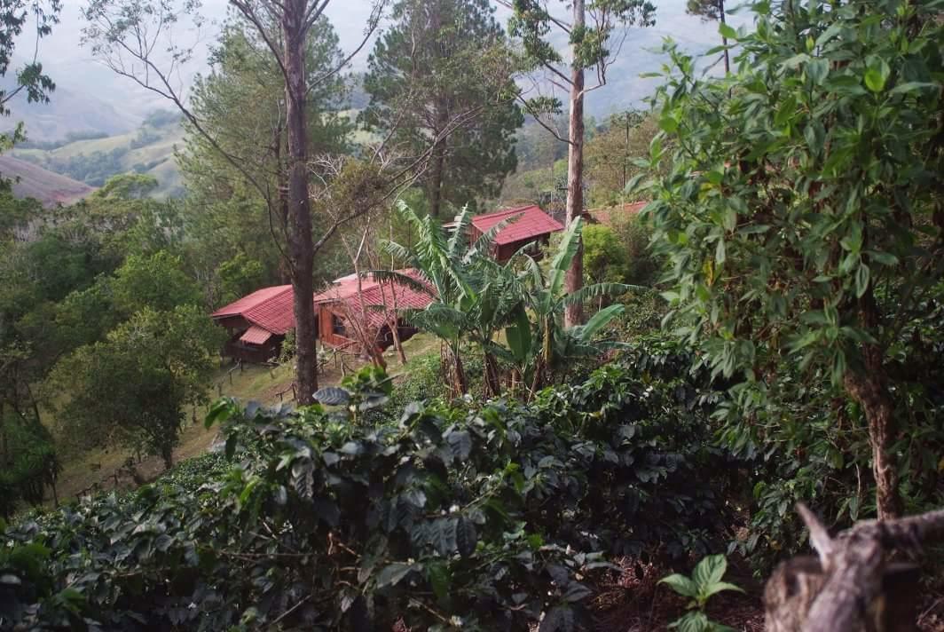 Cabanas Don Camilo Albergue De Montana Cabecera de Canas Ngoại thất bức ảnh