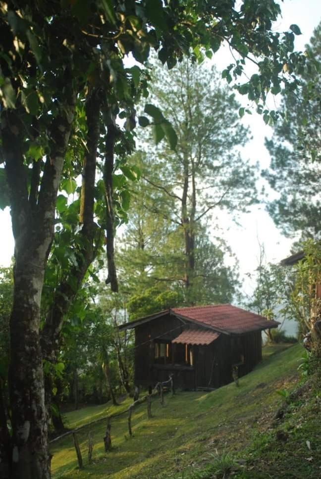 Cabanas Don Camilo Albergue De Montana Cabecera de Canas Ngoại thất bức ảnh
