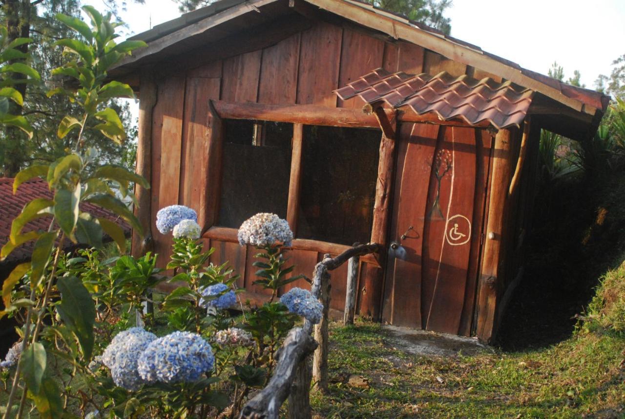 Cabanas Don Camilo Albergue De Montana Cabecera de Canas Ngoại thất bức ảnh